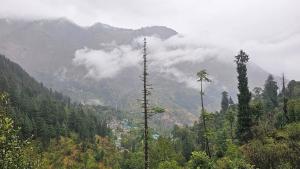 Sunils Cabin 5BHK Glass View Villa Manali