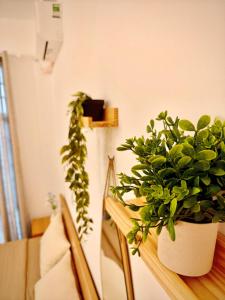 B&N HOUSE l Homestay HUE
