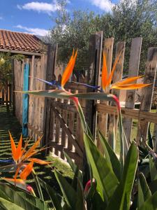 Maisons de vacances Le Loft de La Casa Roca avec piscine near St Tropez : photos des chambres