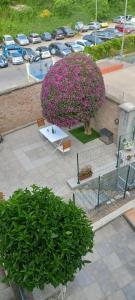 Villino la bouganville casa vacanze