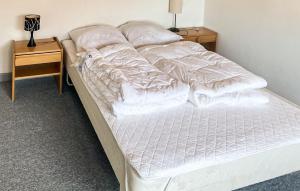 Amazing Home In Harboøre With Wifi