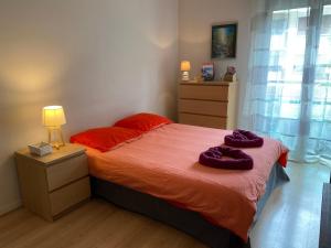 Appartements le studio d-annecy : Appartement 1 Chambre