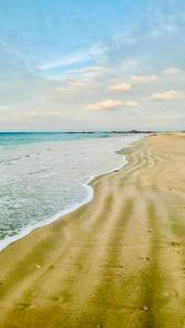 The Beach House , Nilaveli , Trincomalee