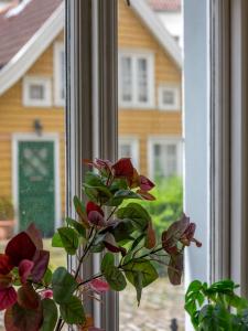 Unique and Spacious Home in Bergens Most Charming Area