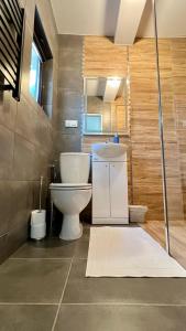 Aparthotel w Dolinie Stawów Zator