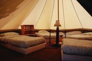 Tente dortoir partagée - Hegoa Surf Camp Pays Basque - Dorm - Compartida