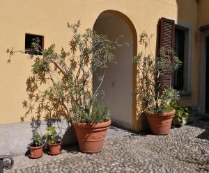 Casa con 1 Camera da Letto