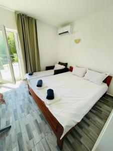 Vila Stefan Pescarusului Costinesti