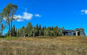 Cozy Home In Bengtsfors With Sauna