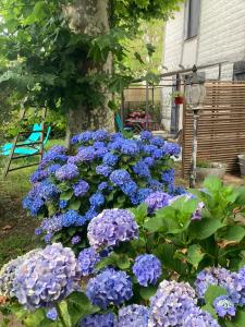 Gîte avec jacuzzi privatif à proximité de locéan