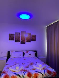 Comfort Residence Studio