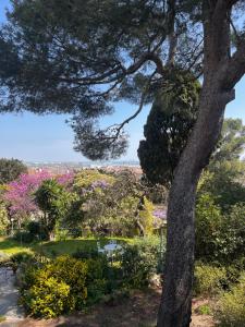 Maisons d'hotes Villa Marie Sete : photos des chambres