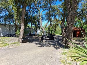 Campings Camping Des Mimosas : photos des chambres