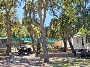 Campings Camping Des Mimosas : photos des chambres