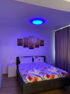 Comfort Residence Studio