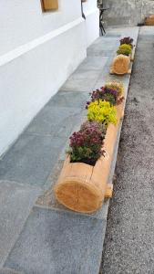 Sunny and cosy holiday apartment in the Dolomites