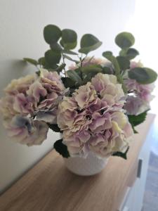 Aisa Holiday Apartment