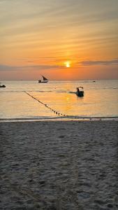 Villa Peace And Color