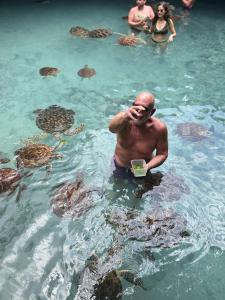 Villa Peace And Color