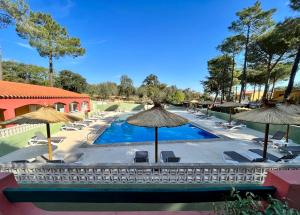 Campings Camping Des Mimosas : photos des chambres