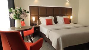 Standard Double Room with Bath or Shower room in Hotel Adagio