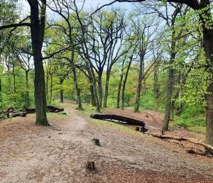 Luxe woodlodge in bosrijke omgeving incl eigen douche en keuken