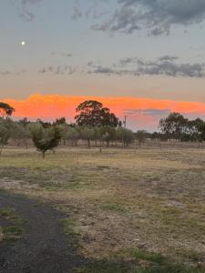 Farm Stay, Feed Sheep & Relax