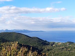 Vue panoramique