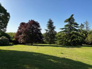 Calme & Accueillant -Près de Beauval