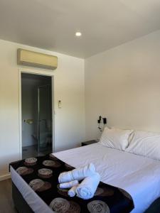 city stay at gouger 433