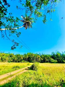 DK Paddy Field Villa in Unawatuna
