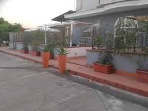 Dedalo affittacamere