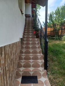 Casa Mariana - Comuna Arefu, Transfăgărășan