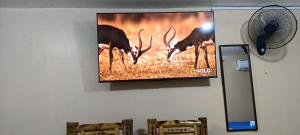 Splash Private Resort