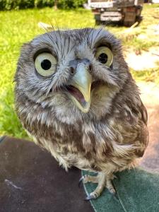 Przystanek Podgórze