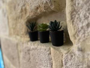 Appartements Le Grenier Douillet : Appartement 1 Chambre
