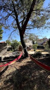 Cozy apartment with private yard