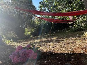 Cozy apartment with private yard