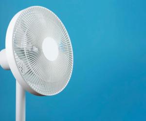 Moyo Mmoja Guesthouse