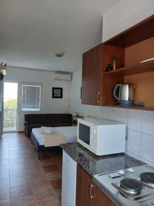 Apartment with Terrace room in Apartments Vila Kurtagic