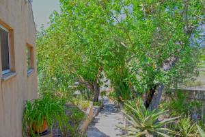 CAN MARC (CHARMING HOUSE CENTER ISLAND)