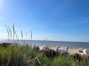 Ingeborg DA25 2 li OG