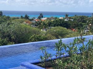 Ocean View Pool in Exclusive Playacar, En-Suite Rooms