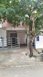 Rivera Nest