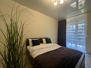 VIP AVALON Чорновола 16-з