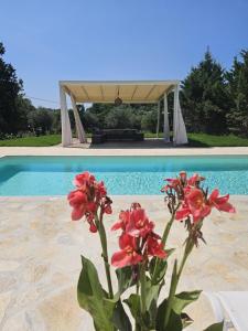Sundial Houses - Pool & Garden