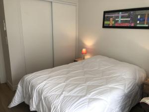 Appartements Appartement T3 58 m2, Le Republique, centre-ville, climatise, balcon : photos des chambres