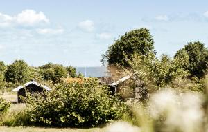 Cozy Home In Nordborg With Wifi