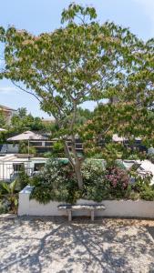 Villa Verde Višnjan