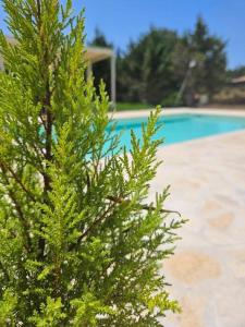 Sundial Houses - Pool & Garden